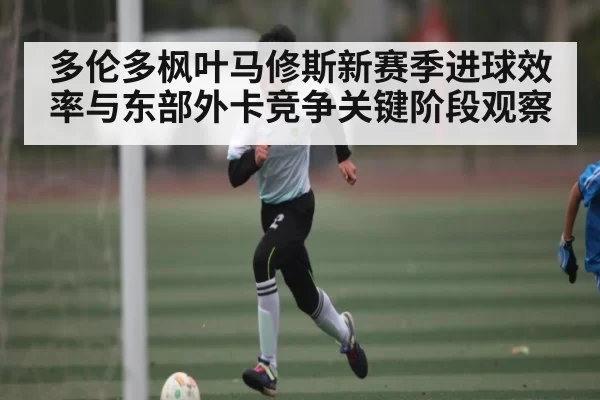 多伦多枫叶马修斯新赛季进球效率与东部外卡竞争关键阶段观察